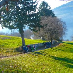 P1160755    Arriva una  joelette.